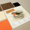 Plego 3D Erithacus Rubecula Paper Bird Kit