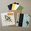 Plego Parus Major Paper Bird Kit