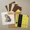 Plego Athene Noctua Paper Bird Kit
