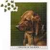 Employee Of The Month 300 Piece Apartment Puzzle by Brass Monkey