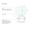Boskke Till Planter - Small Self-Watering Plant Pot