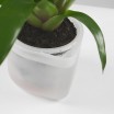 Boskke Till Planter - Small Self-Watering Plant Pot
