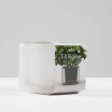Boskke Till Planter - Large Self-Watering Plant Pot