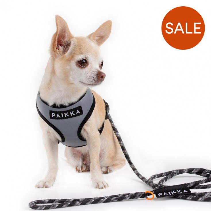 Paikka Visibility Dog Harness