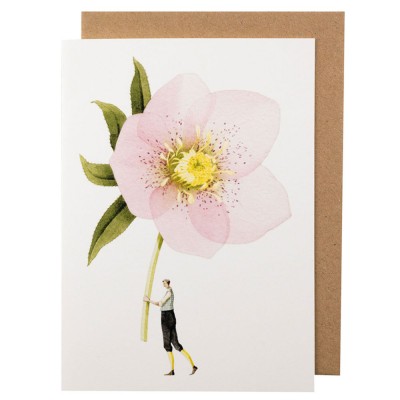 Laura Stoddart Pink Hellebore Greeting Card